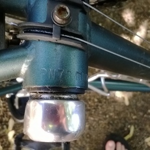 Specialized Hardrock Green