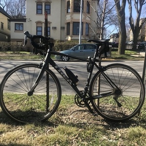 2018 Trek Domane AL 2 Black and Silver, gray or bare metal