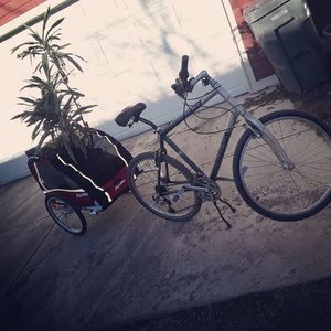 Trek Navigator 200 Silver, gray or bare metal