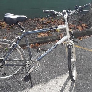 Trek Navigator 200 Silver, gray or bare metal