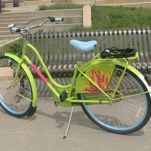 Electra Amsterdam Green