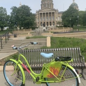 Electra Amsterdam Green