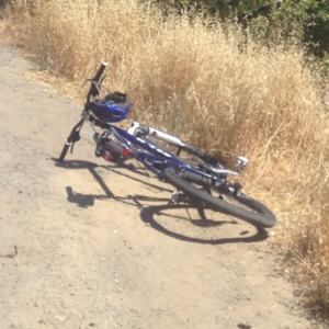 Fuji Nevada 2.0 Blue and White