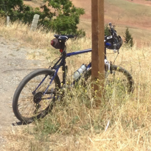 Fuji Nevada 2.0 Blue and White