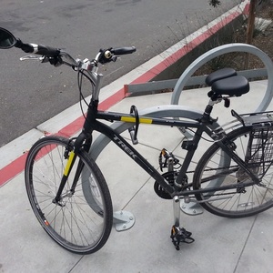 2014 Trek Verve 1 Black