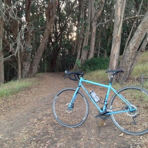 2015 Salsa Vaya 2 Blue