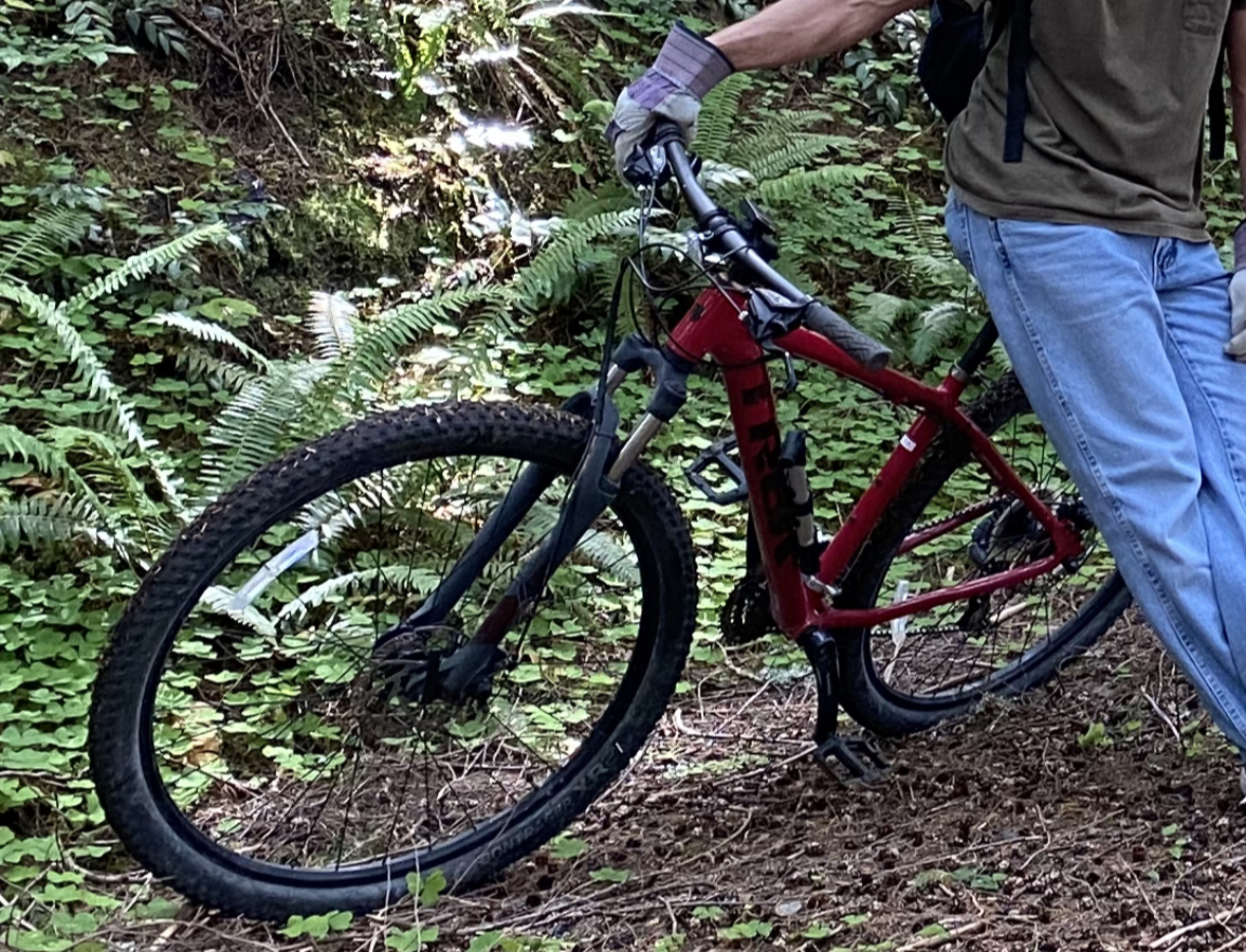 trek marlin 4 2020 price