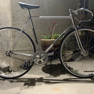 Bridgestone Kierin Track NJS (vintage) Silver, gray or bare metal