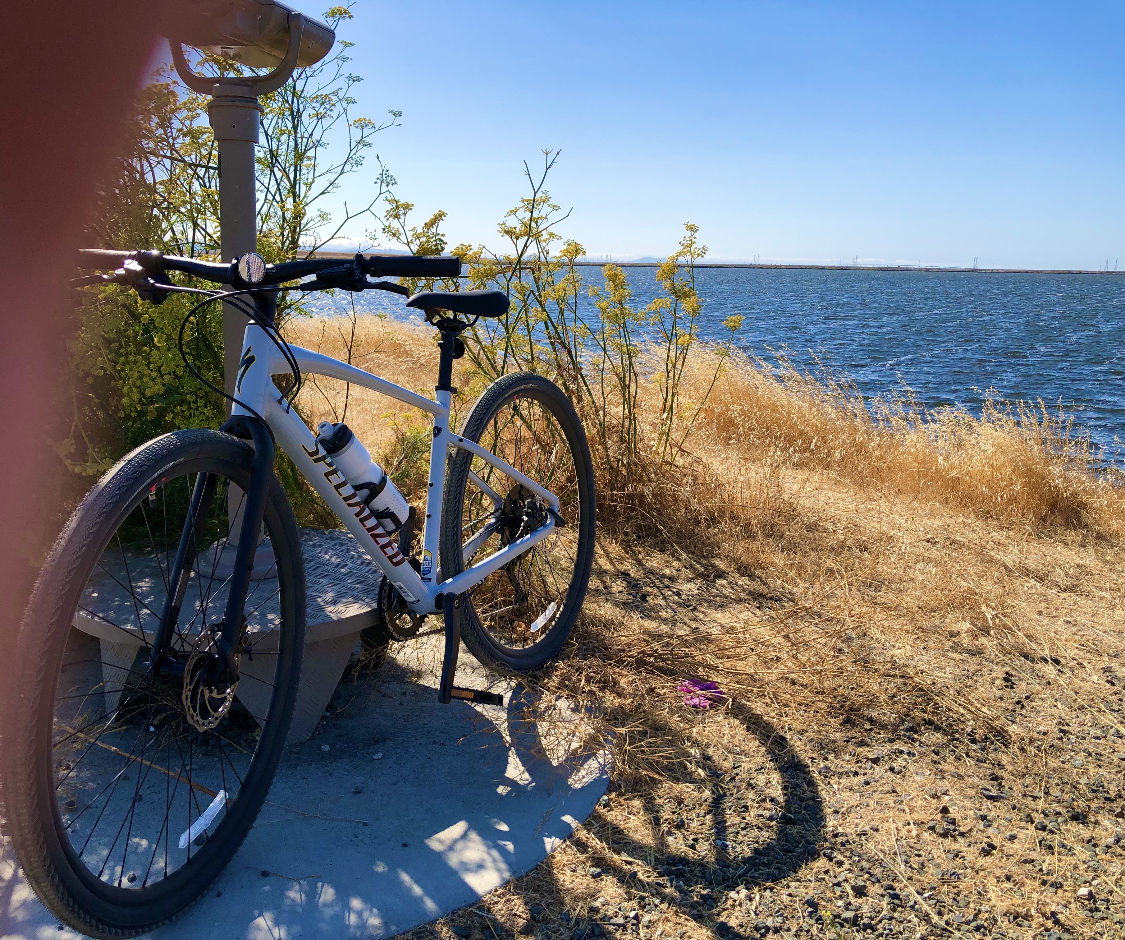 specialised sirrus x2