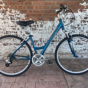 Raleigh Passage 4.0 Teal