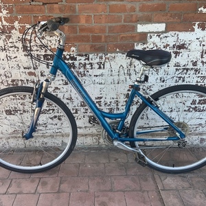 Raleigh Passage 4.0 Teal