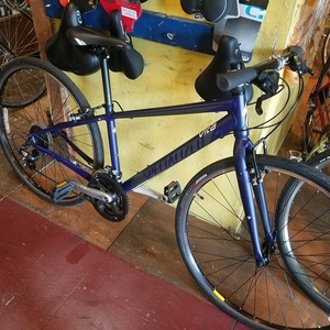 Specialized Vita Purple