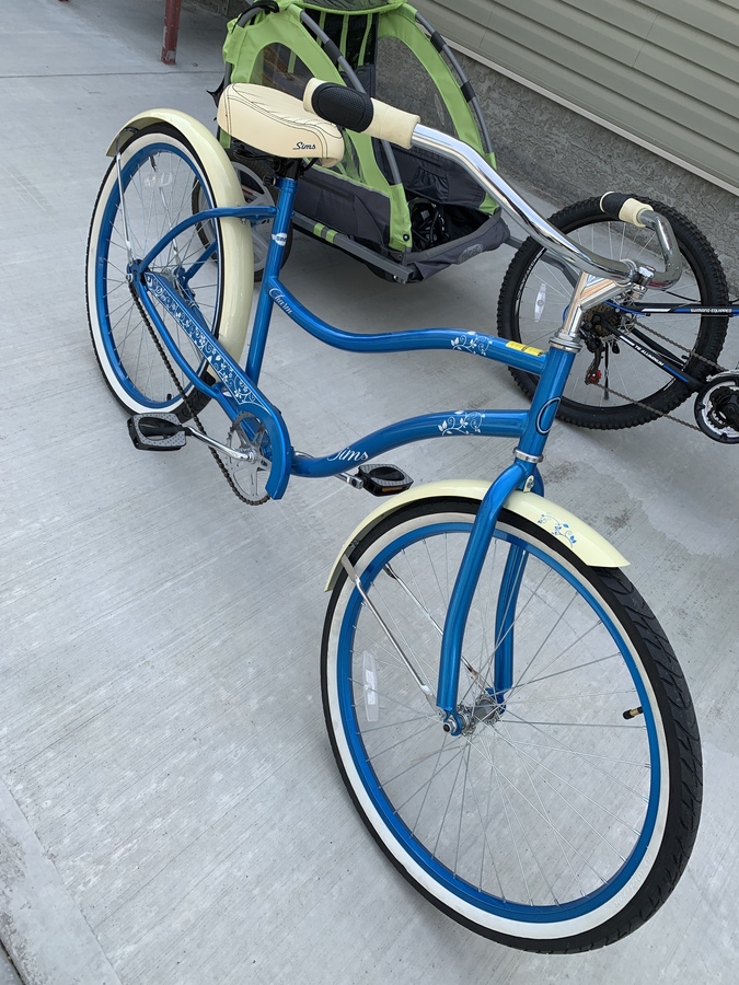 sims charm cruiser bike