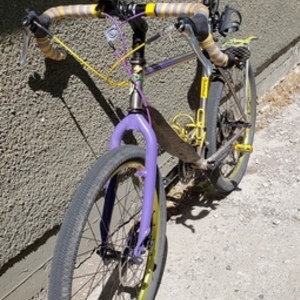 1998 Nouvelle Canada Titanium gravel bike yellow+purple accents Silver, gray or bare metal