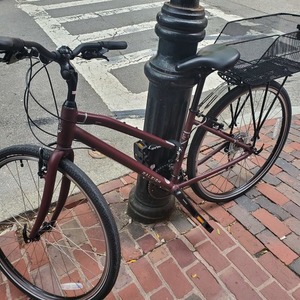 2020 Raleigh Detour 2 Red