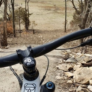 2019 YT Capra White