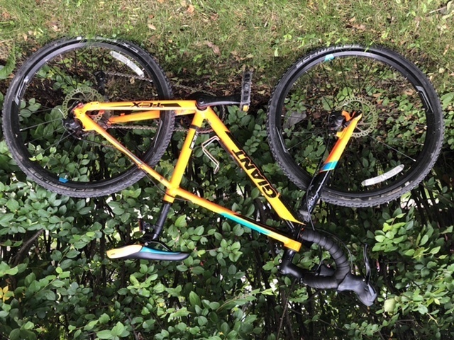 giant tcx espoir 24 review