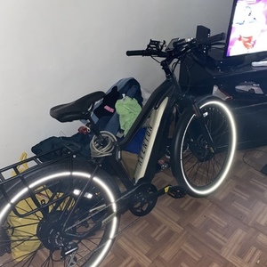 2020 Aventón Level tandem Silver, gray or bare metal