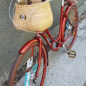 Viva Denmark "Juliett" euro city bike Red