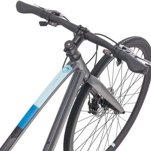 2019 Raleigh Women's Alysa 2 Fitness Hybrid Bike, 15" Silver, gray or bare metal
