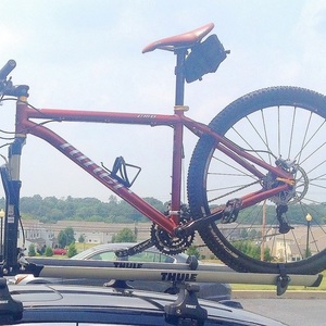 2009 Niner EMD Brown