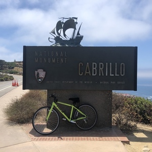 2019 Trek FX2 Yellow or Gold