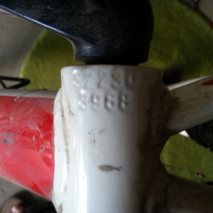 2011 Devinci Desperado S White and Red