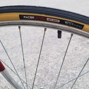 1982 Raleigh Gran Sports Red