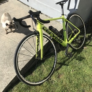 2018 Cervélo R3 Rim Ultegra Di2 8050 Yellow 51 Yellow or Gold