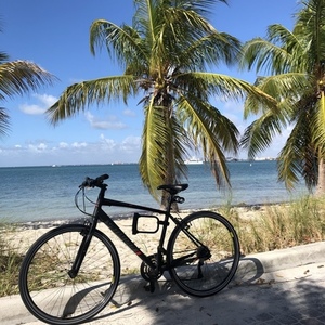 2015 Specialized Sirrus Sport Black