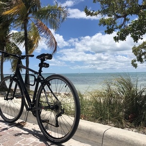 2015 Specialized Sirrus Sport Black