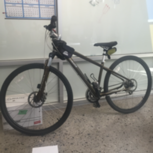 Specialized Brown