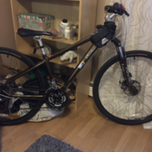 Specialized Brown