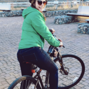 Specialized Brown