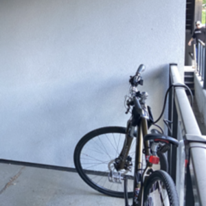 Specialized Brown
