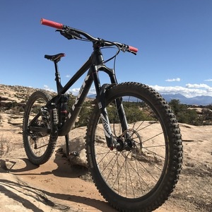 2017 Trek Remedy 8 Black and White