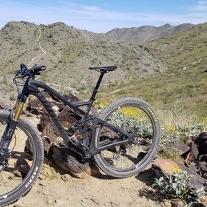 2019 Niner Jet 9 RDO Black