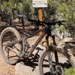 2019 Niner Jet 9 RDO Black