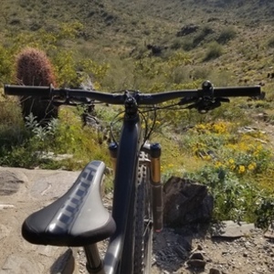 2019 Niner Jet 9 RDO Black