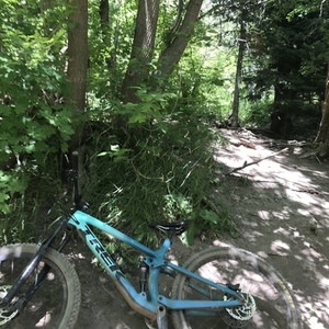 2020 Trek Fuel Ex 9.7 Blue
