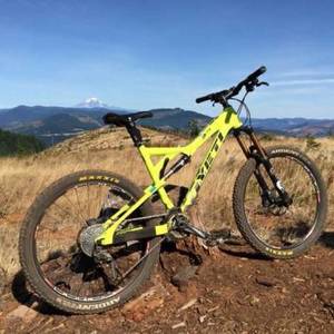 2012 Yeti 575 Yellow or Gold