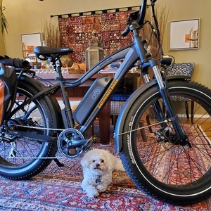 2020 Rad Power Bikes Radrover Black