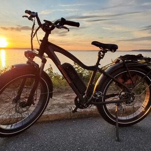 2020 Rad Power Bikes Radrover Black
