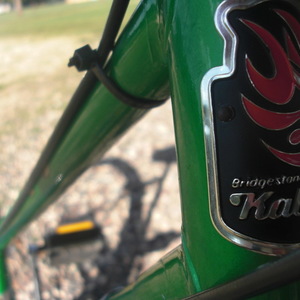 Bridgestone Kabuki Green