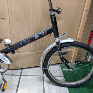 Other Black Butterfly Black