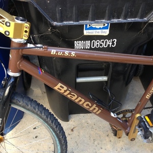 2003 Bianchi B.u.S.S. Brown