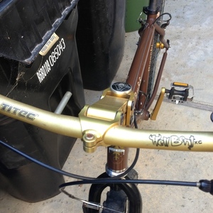 2003 Bianchi B.u.S.S. Brown