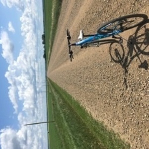 2015 Trek Neko SL Blue