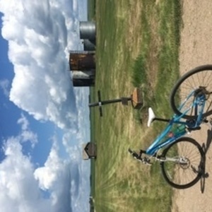 2015 Trek Neko SL Blue