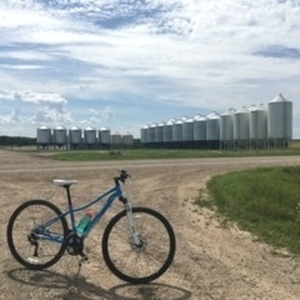 2015 Trek Neko SL Blue